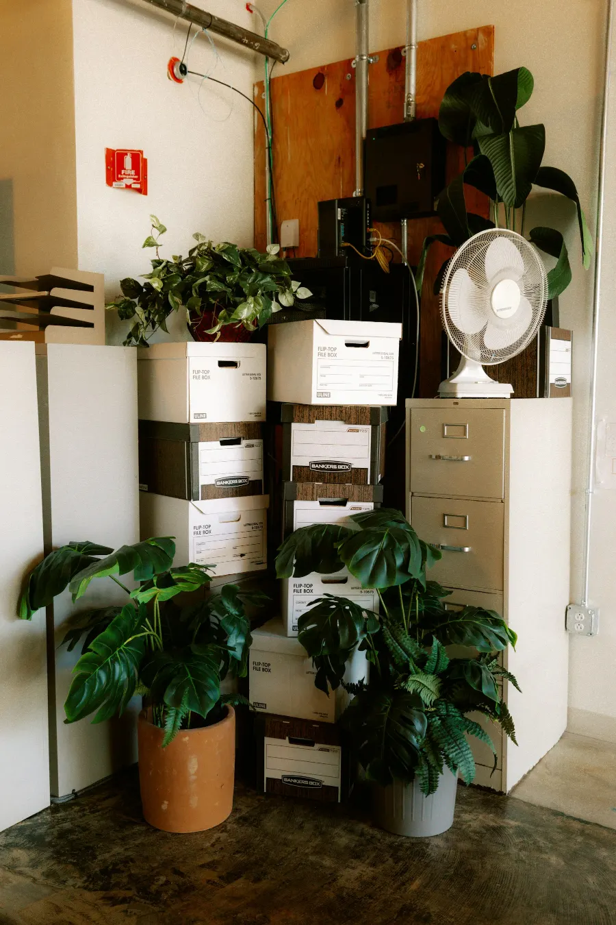 Scatoloni pronti per il trasloco di un ufficio